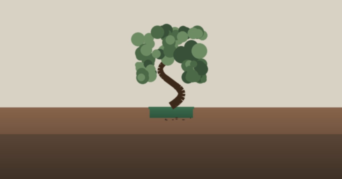 Best Bonsai for Beginners — 2026 Buyer's Guide thumbnail