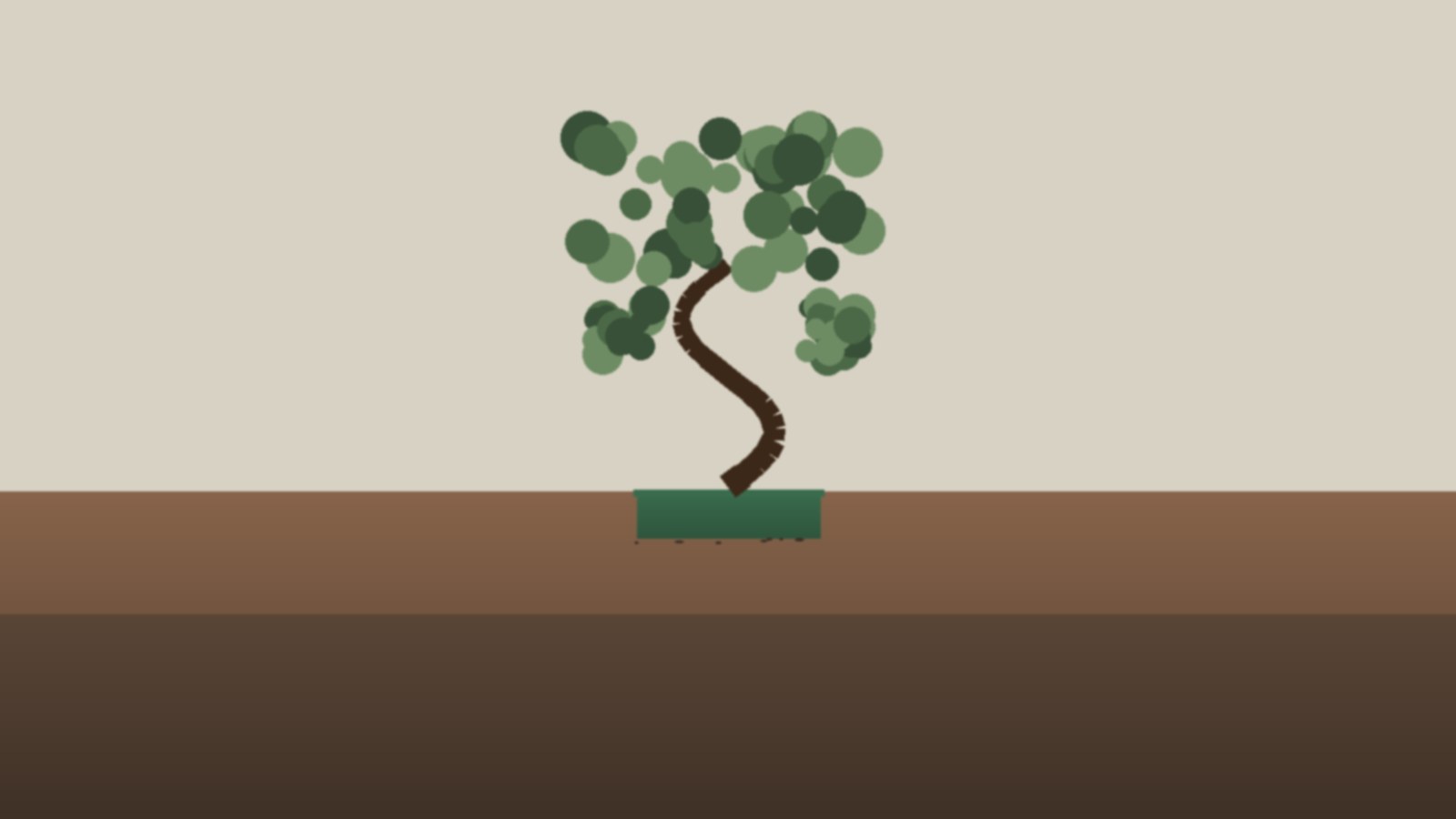 bonsai for apartments — practical picks from The Seedling House, tested and shipped by an Etsy seller