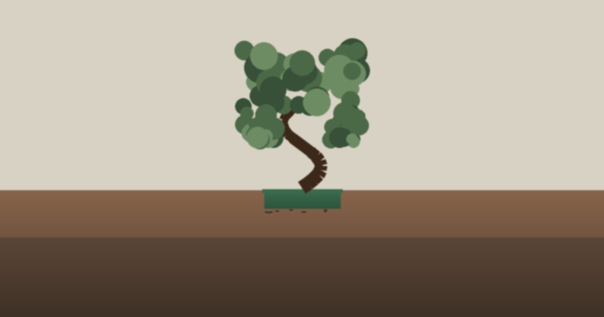 Bonsai for Apartments: 5 Best Low-Light Bonsai Species thumbnail