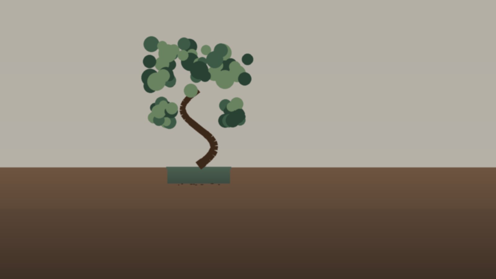 bonsai tree care — practical picks from The Seedling House, tested and shipped by an Etsy seller