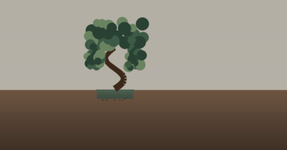 Bonsai Tree Care: Watering, Sunlight, and Pruning Guide thumbnail